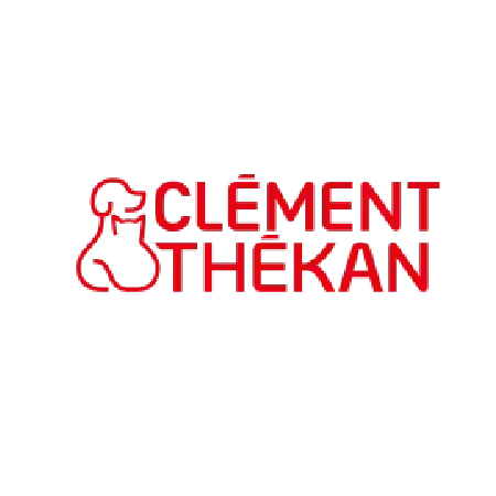 Logotype_CLEMENT